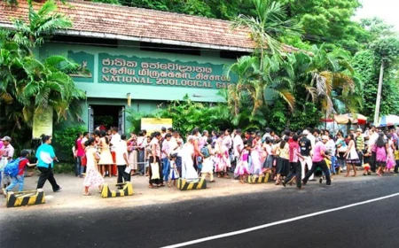 தெஹிவளை மிருகக்காட்சிசாலையில் 32 புறாக்கள் திருட்டு - பொலிஸ் விசாரணை!