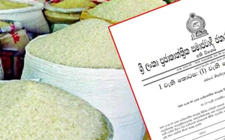 இறக்குமதி அரிசிக்கான அதிகபட்ச சில்லறை விலை: வர்த்தமானி வெளியீடு