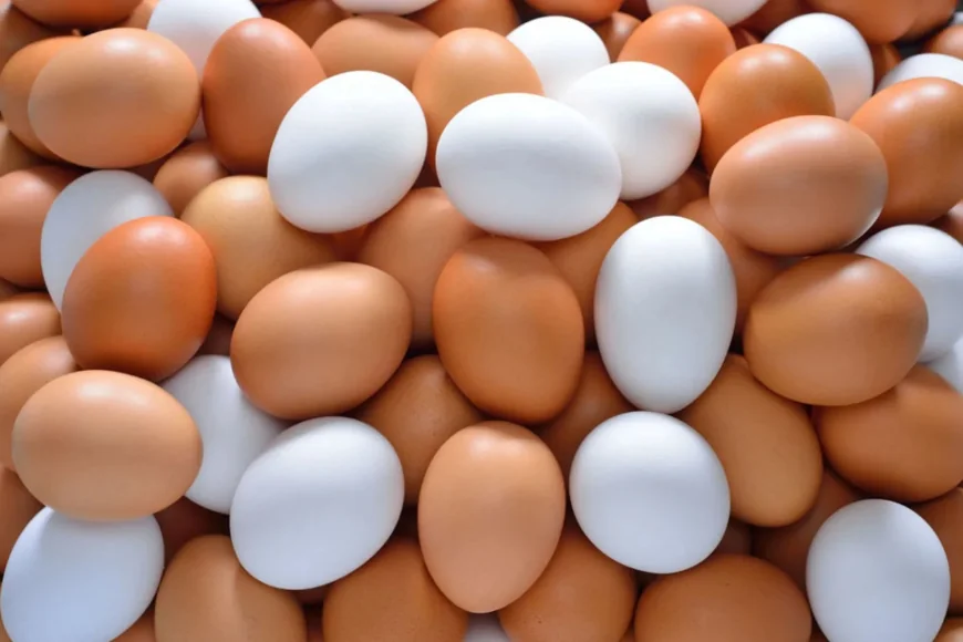 10 ருபாயால் குறைக்கப்படும் முட்டை விலை; வெளியான அறிவிப்பு