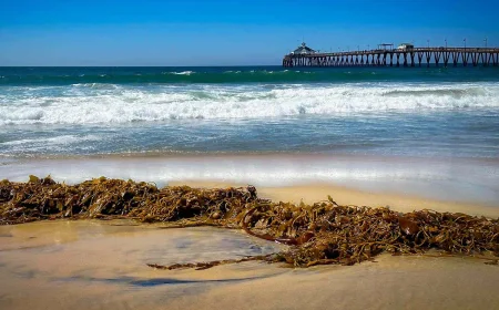 கடலில் கவிழ்ந்த சிறிய படகு: சட்டவிரோத நுழைவு முயற்சியின் போது 4 பேர் பலி