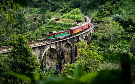 ஒன்பது வளைவு பாலத்திற்கு மின் விளக்கு அமைக்கும் திட்டத்தில் ஏற்பட்டுள்ள சிக்கல்