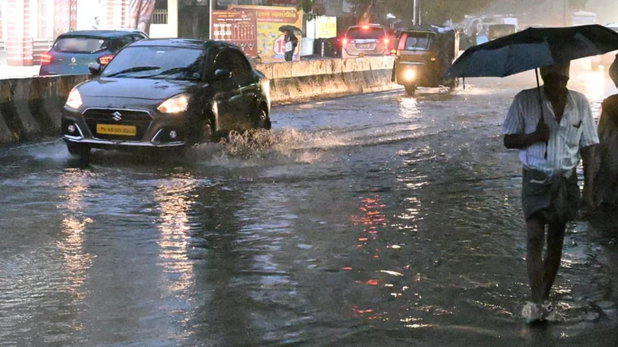 டிட்வா புயல் : தமிழக கடலோர மாவட்டங்களுக்கு சிவப்பு எச்சரிக்கை விடுக்கப்பட்டுள்ளது