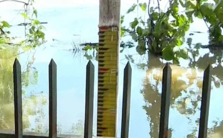 களனி கங்கையின் நீர்மட்டம் குறைகிறது: நீர்ப்பாசனத் திணைக்களம்