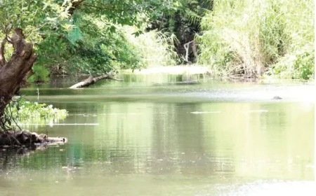 இரண்டு குழந்தைகளுடன் மல்வத்து ஓயாவில் குதித்த தாய் – மீட்பு நடவடிக்கைகள் தீவிரம்