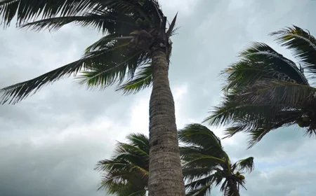 நாட்டின் பல பகுதிகளில் பலத்த காற்றுடன் மழை! மணித்தியாலத்திற்கு 30–40 கி.மீ வேகத்தில் காற்று வீசும் என எச்சரிக்கை