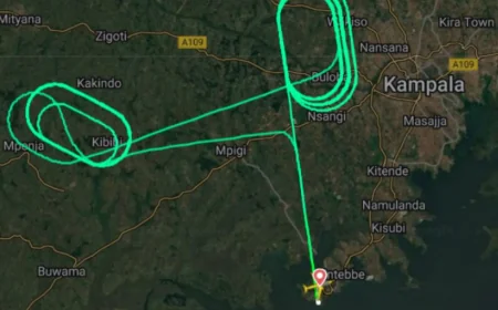 துருக்கி ஏர்லைன்ஸ் விமானம் தொழில்நுட்பக் கோளாறு காரணமாக பாதுகாப்பாக திரும்பத் தரையிறக்கப்பட்டது