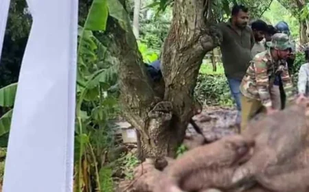 காட்டு யானை எரிப்பு சம்பவம்: மூன்று பேர் கைது