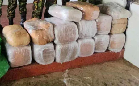 முல்லைத்தீவில் 3 கோடி ரூபாய் பெறுமதியான கஞ்சா மீட்பு