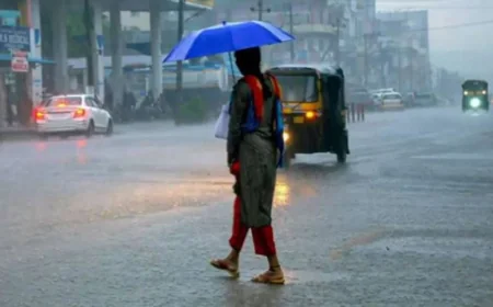 இன்றைய வானிலை: பிற்பகல் 02 மணிக்கு பின்னர் மழை