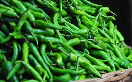 டித்வா காரணமாக உச்சம் தொட்ட காய்கறி விலை: பச்சை மிளகாய் கிலோ 2,000 ரூபாய்