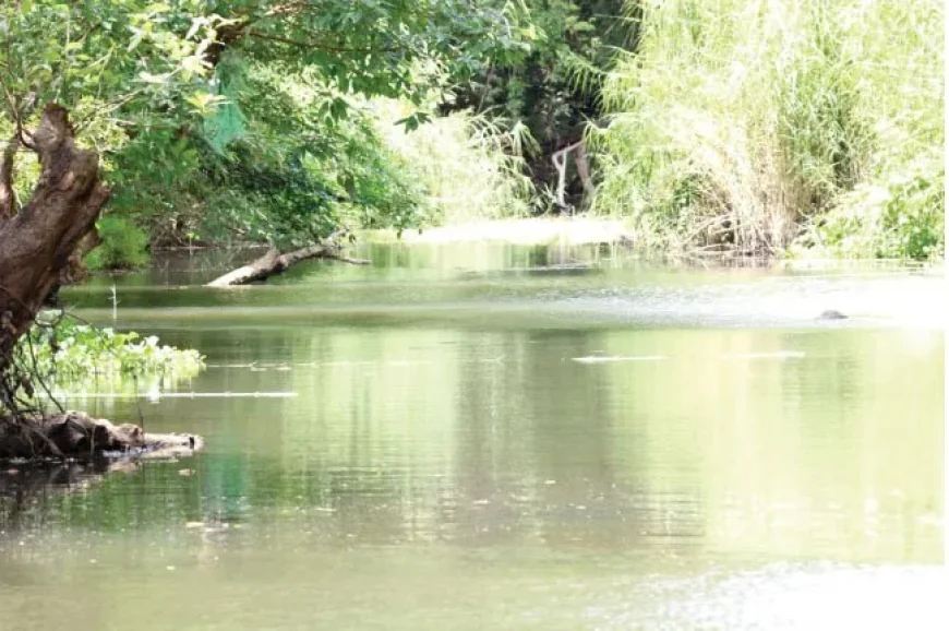 இரண்டு குழந்தைகளுடன் மல்வத்து ஓயாவில் குதித்த தாய் – மீட்பு நடவடிக்கைகள் தீவிரம்