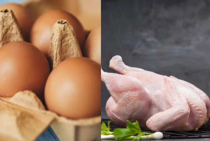 முட்டைகளுக்கு தட்டுப்பாடு ஏற்படுமா? இறைச்சி விலையும் உயர்வு!