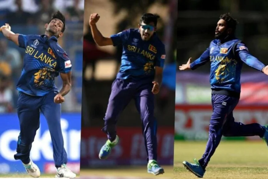 ஐபிஎல் 2026 ஏலப் பட்டியலில் இடம் பெற்ற 12 இலங்கை கிரிக்கெட் வீரர்கள்