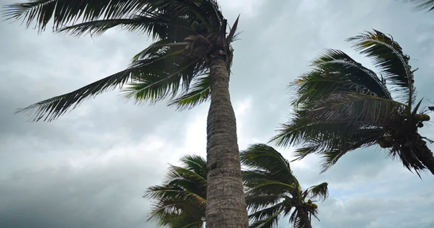 நாட்டின் பல பகுதிகளில் பலத்த காற்றுடன் மழை! மணித்தியாலத்திற்கு 30–40 கி.மீ வேகத்தில் காற்று வீசும் என எச்சரிக்கை