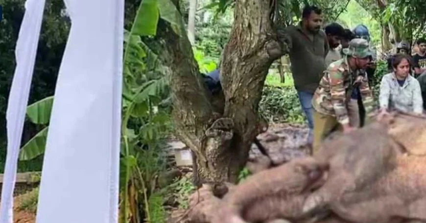 காட்டு யானை எரிப்பு சம்பவம்: மூன்று பேர் கைது