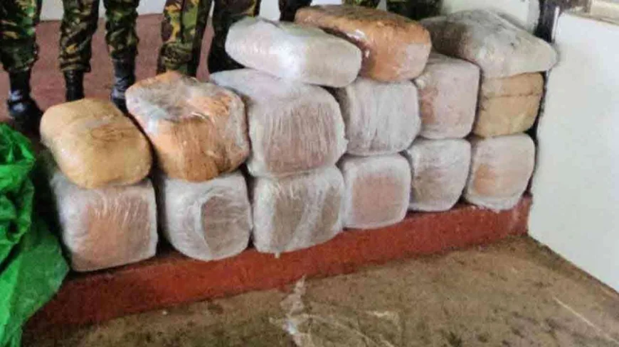 முல்லைத்தீவில் 3 கோடி ரூபாய் பெறுமதியான கஞ்சா மீட்பு