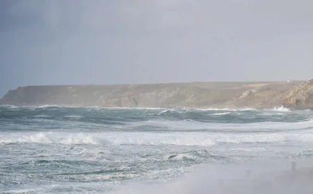 கோரெட்டி புயலில் கேரவன் மீது மரம் விழுந்து 50 வயது நபர் உயிரிழப்பு