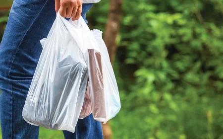 பிரித்தானியாவின் புதிய திட்டம்: குடும்பங்களின் மளிகைச் செலவு அதிகரிக்கும் அபாயம்