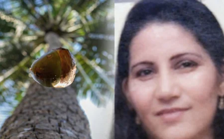 தலையில் தேங்காய் விழுந்து பெண் உயிரிழப்பு