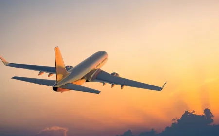 இந்தோனேசியாவில் 11 பேருடன் சென்ற விமானம் மாயம் – தீவிர தேடுதல் பணி