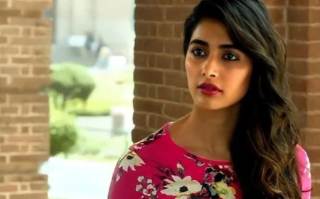 கேரவனுக்குள் நுழைந்து அத்து மீறிய ஸ்டார்  நடிகர்... நடிகை பூஜா ஹெக்டே அதிர்ச்சி தகவல்