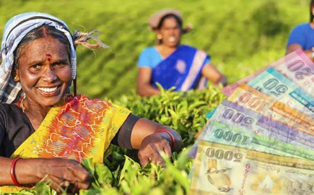 தோட்ட தொழிலாளர்களின் கொடுப்பனவை வங்கி கணக்குக்கு வரவு வைக்க அரசாங்கம் அதிரடி தீர்மானம்