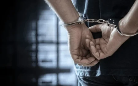 துப்பாக்கி மற்றும் உள்நாட்டில் தயாரிக்கப்பட்ட கைக்குண்டுடன் சந்தேகநபர் கைது