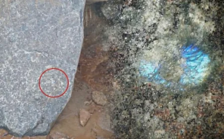 கண்டி – கலஹா பகுதியில் கண்டுபிடிக்கப்பட்ட பாறைக்கு வர்த்தக பெறுமதி இல்லை