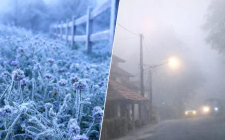 நாட்டின் பல பகுதிகளில் இன்று மழை: நுவரெலியாவில் உறைபனி, சில மாகாணங்களில் மூடுபனி எச்சரிக்கை