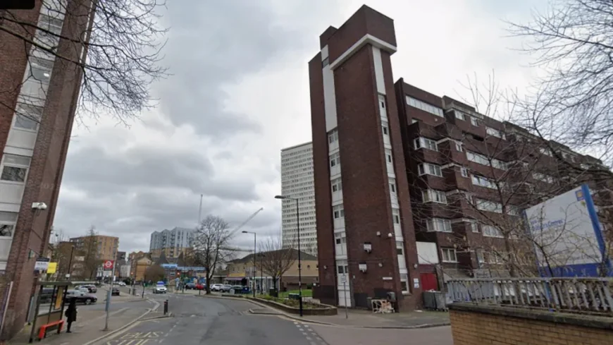 Man, 23, Fatally Stabbed in South-East London on New Year’s Eve
