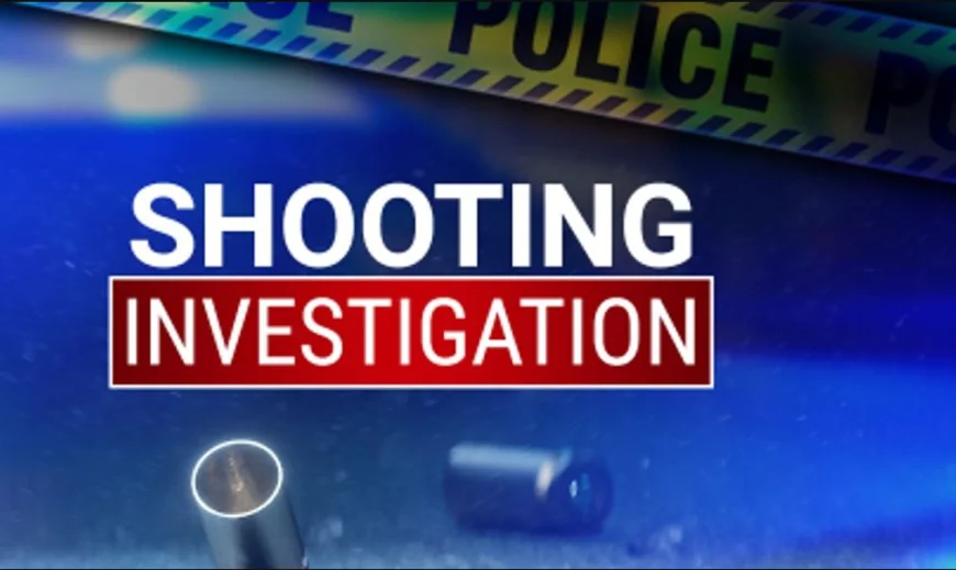 வெலிகந்தை துப்பாக்கிச்சூடு தொடர்பில் இன்னும் விசாரணை அறிக்கை கிடைக்கவில்லை