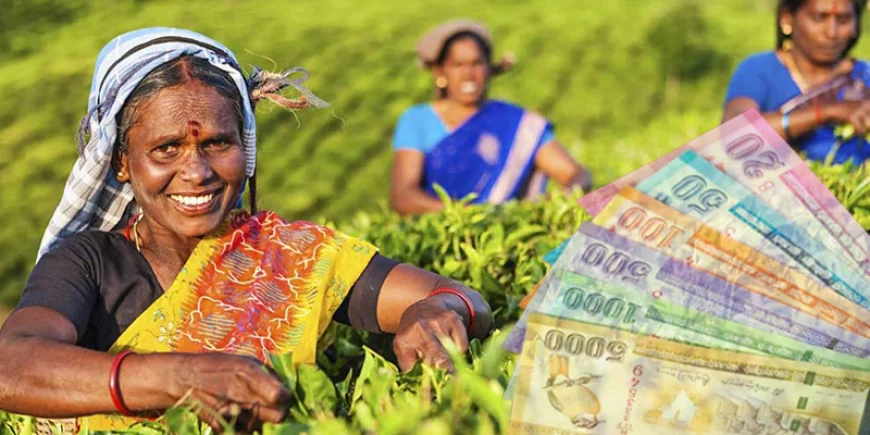 தோட்ட தொழிலாளர்களின் கொடுப்பனவை வங்கி கணக்குக்கு வரவு வைக்க அரசாங்கம் அதிரடி தீர்மானம்