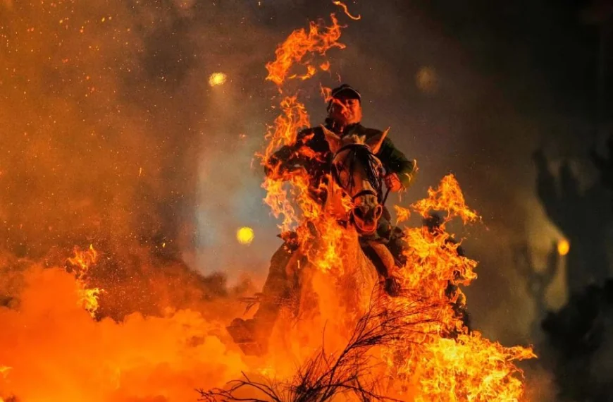 தீக்குளிக்கும் குதிரைகள்: ஸ்பெயினின் ‘லாஸ் லுமினாரியாஸ்’ மரபுச் சடங்கு