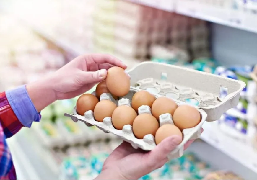 சந்தையில் முட்டை விலை கணிசமாகக் குறைவு – ஒன்றின் விலை ரூ.30 வரை சரிவு