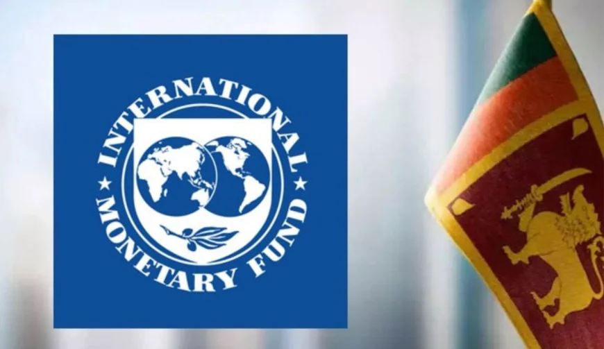 IMF பிரதிநிதிகள் இன்று இலங்கை வருகை: ‘டித்வா’ புயல் பாதிப்புகள் குறித்து ஆய்வு