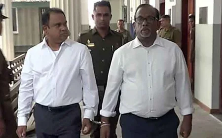 மஹிந்தானந்த மற்றும் நளின் பெர்னாண்டோ வழக்கின் உத்தரவு ஒத்திவைப்பு