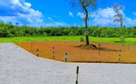 கொழும்பில் தொடரந்து உயரும் நில மதிப்பீடு... சாதாரண குடும்பங்களுக்கு ஏற்பட்டுள்ள சவால்!