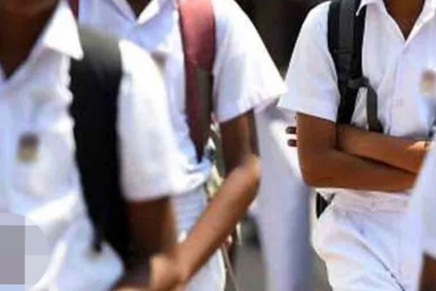 பாடசாலை மாணவர்கள் 33 பேர் மருத்துவமனையில் அனுமதி - காரணம் இதுதான்