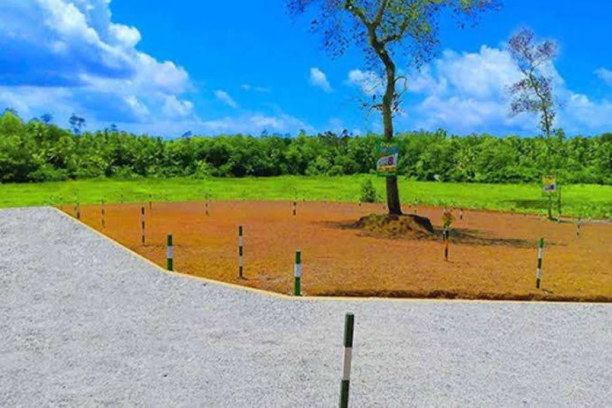 கொழும்பில் தொடரந்து உயரும் நில மதிப்பீடு... சாதாரண குடும்பங்களுக்கு ஏற்பட்டுள்ள சவால்!