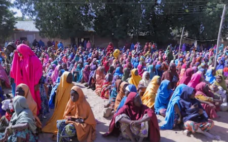 நைஜீரியாவில் போகோஹராம் தாக்குதல்: பெண்கள், குழந்தைகள் உள்பட 300 பேர் கடத்தல்