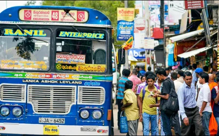 எரிபொருள் விலை உயர்ந்தாலும் பேருந்து கட்டணம் மாற்றமில்லை – தேசிய போக்குவரத்து ஆணைக்குழு