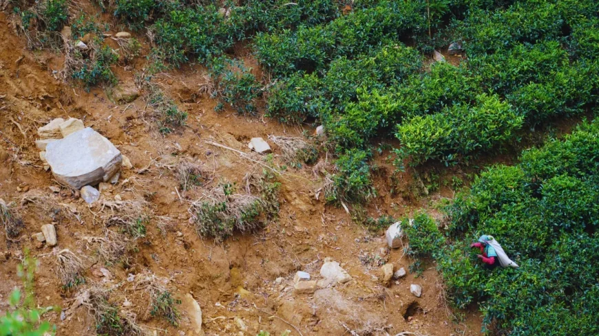 மலையக மக்களின் காணி உரிமையை உறுதிப்படுத்தும் 'அரசாங்கத்தின் வாக்குறுதிக்கு' என்ன நடந்தது?