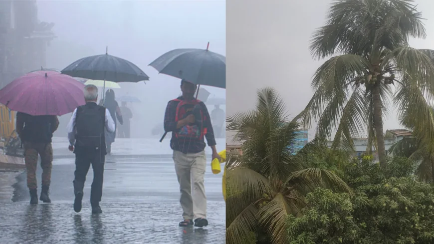 பிற்பகல் 2 மணிக்குப் பிறகு சில பகுதிகளில் மழை அல்லது இடியுடன் கூடிய மழை