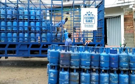 சில மாவட்டங்களில் 5,100 ரூபாய்க்கு மேல் விற்கப்படும் லிட்ரோ கேஸ் சிலிண்டர்