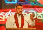 “சட்டத்திற்கு அப்பாற்பட்டவர் யாரும் இல்லை என்றால் அனைவரும் விசாரிக்கப்பட வேண்டும்” – நாமல் ராஜபக்ஷ