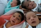 திருமணமான பெண்களில் 10.6% பேருக்கு குழந்தை இல்லை: கணக்கெடுப்பில் வெளியான அதிர்ச்சித் தகவல்கள்
