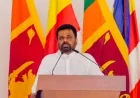 பிக்குகளின் ஒழுக்கக்கேடு குறித்து ஜனாதிபதி கவலை; 'தர்ம நீதிமன்றம்' நிறுவப்படும்