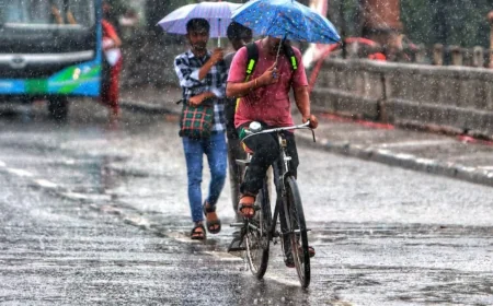 இலங்கையின் பல மாகாணங்களில் பிற்பகலில் மழை - வளிமண்டலவியல் திணைக்களம் எச்சரிக்கை