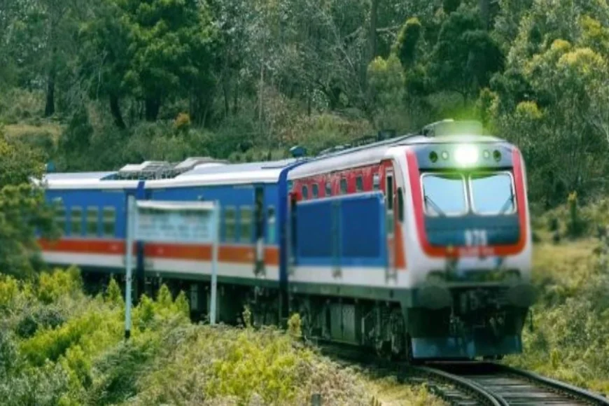 யாழ்–கொழும்பு தொடருந்தில் மோதி 29 வயது பெண் உயிரிழப்பு: பாதுகாப்பற்ற கடவை குறித்து மக்கள் குற்றச்சாட்டு