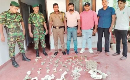 வாட்ஸ்அப் குழுக்கள் மூலம் அரிய பவளப்பாறைகள் விற்பனை: இருவர் கைது!
